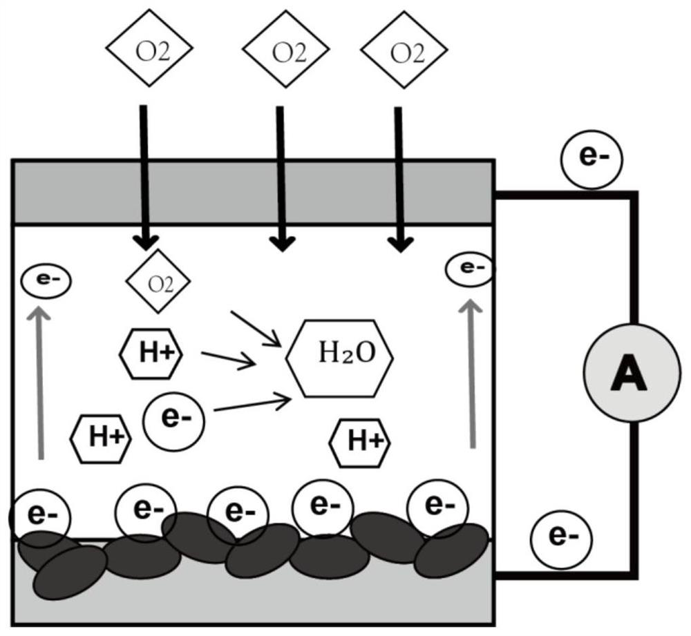 Single-chamber MFC reactor with ultra-miniature air cathode and manufacturing method