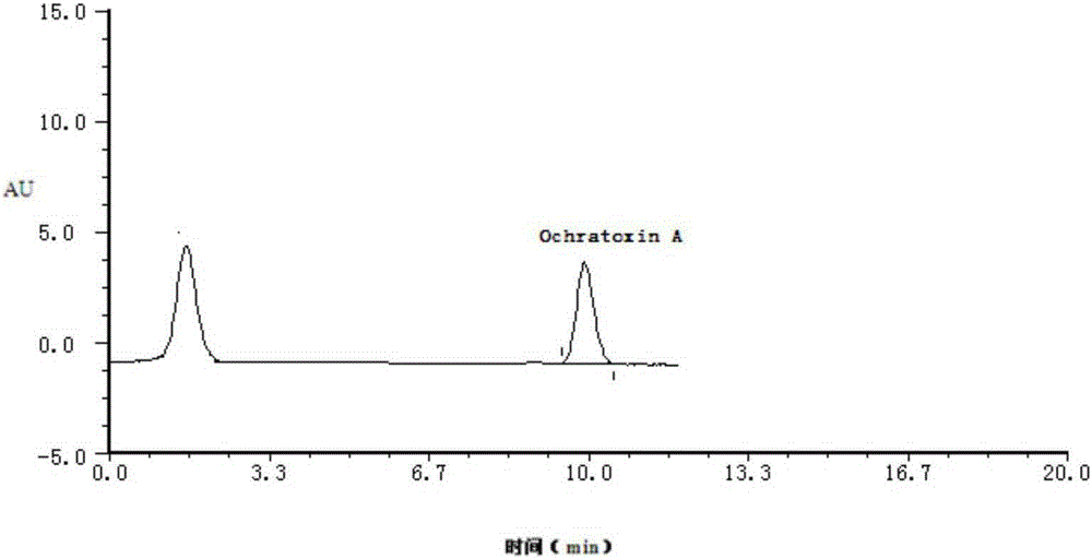 Hybridoma cell strain capable of secreting T-2 toxin monoclonal antibody