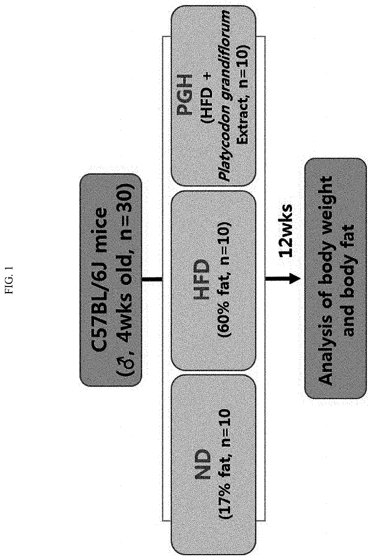 Pharmaceutical composition comprising an extract of platycodon grandiflorum and method for preventing or treating of obesity using the same