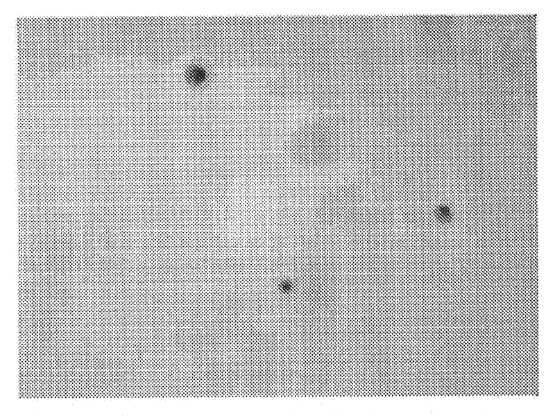 Semiconductor on insulator and methods of forming same using temperature gradient in an anodic bonding process