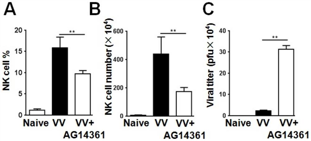 Application of parp1 inhibitor in preparation of tumor immunotherapy preparation