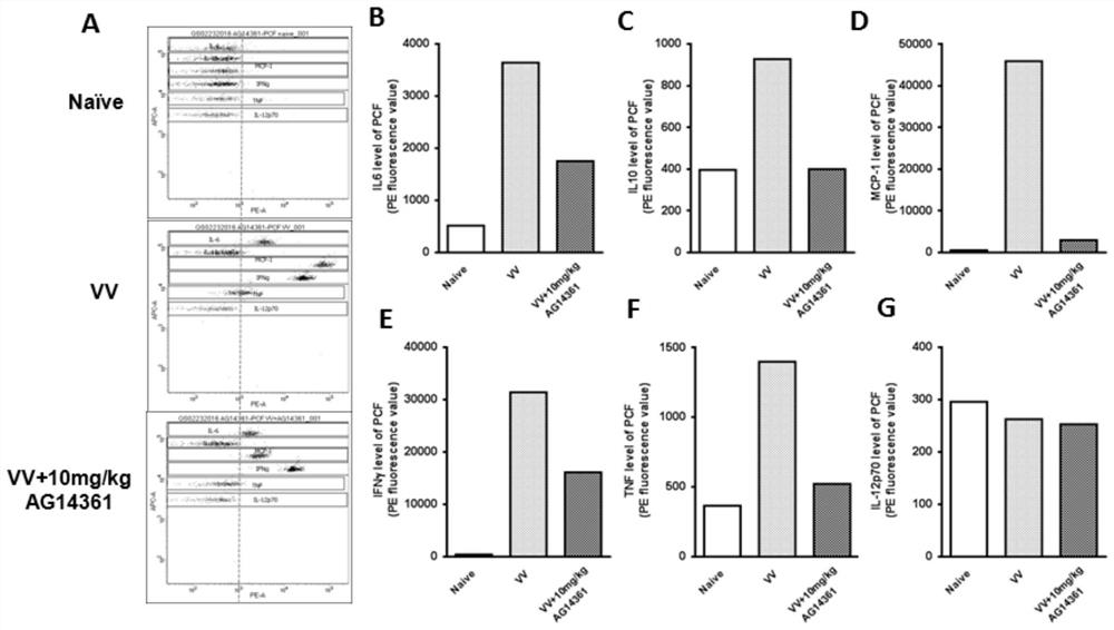 Application of parp1 inhibitor in preparation of tumor immunotherapy preparation