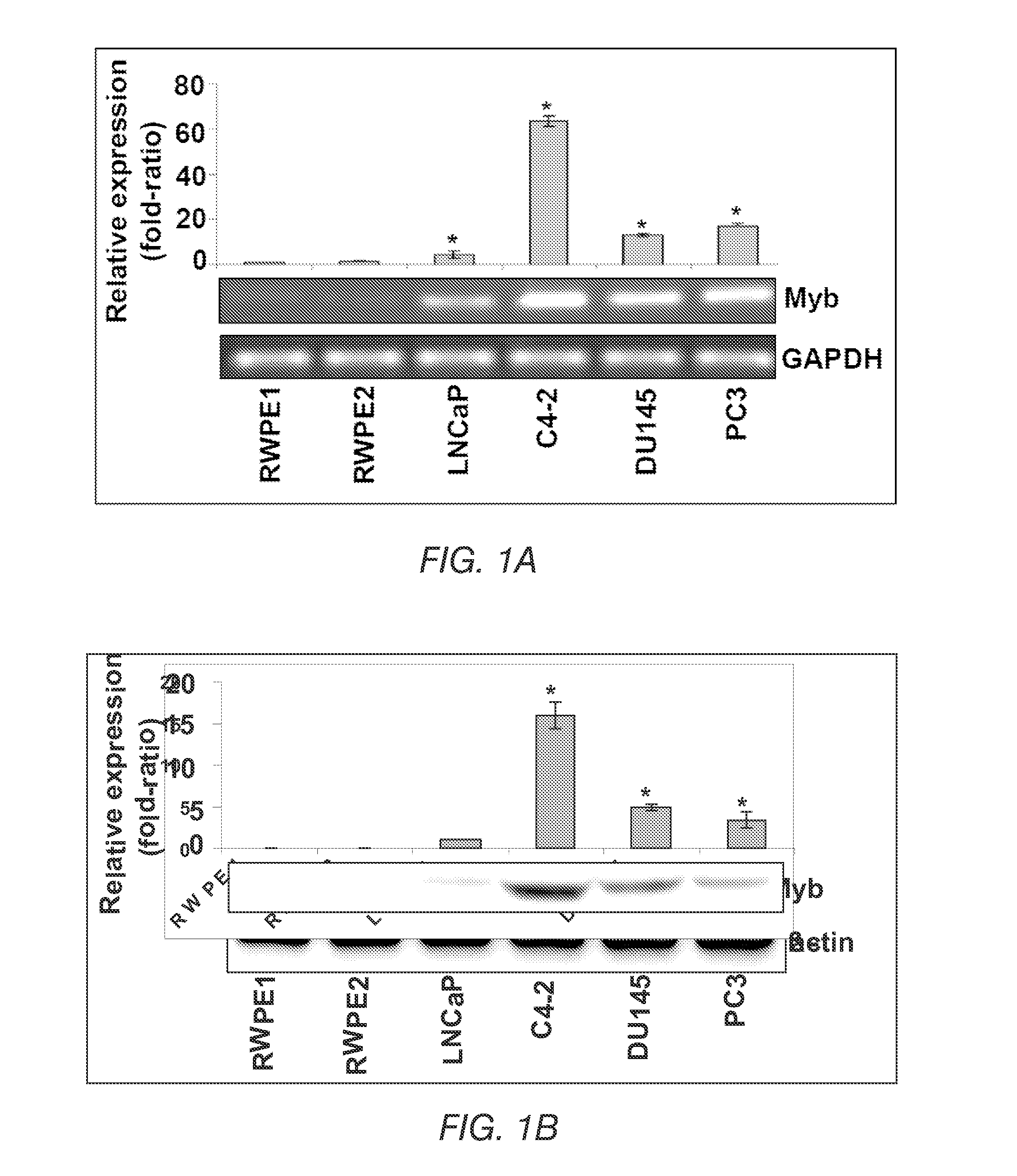 Methods and compositions for the diagnosis, classification, and treatment of cancer