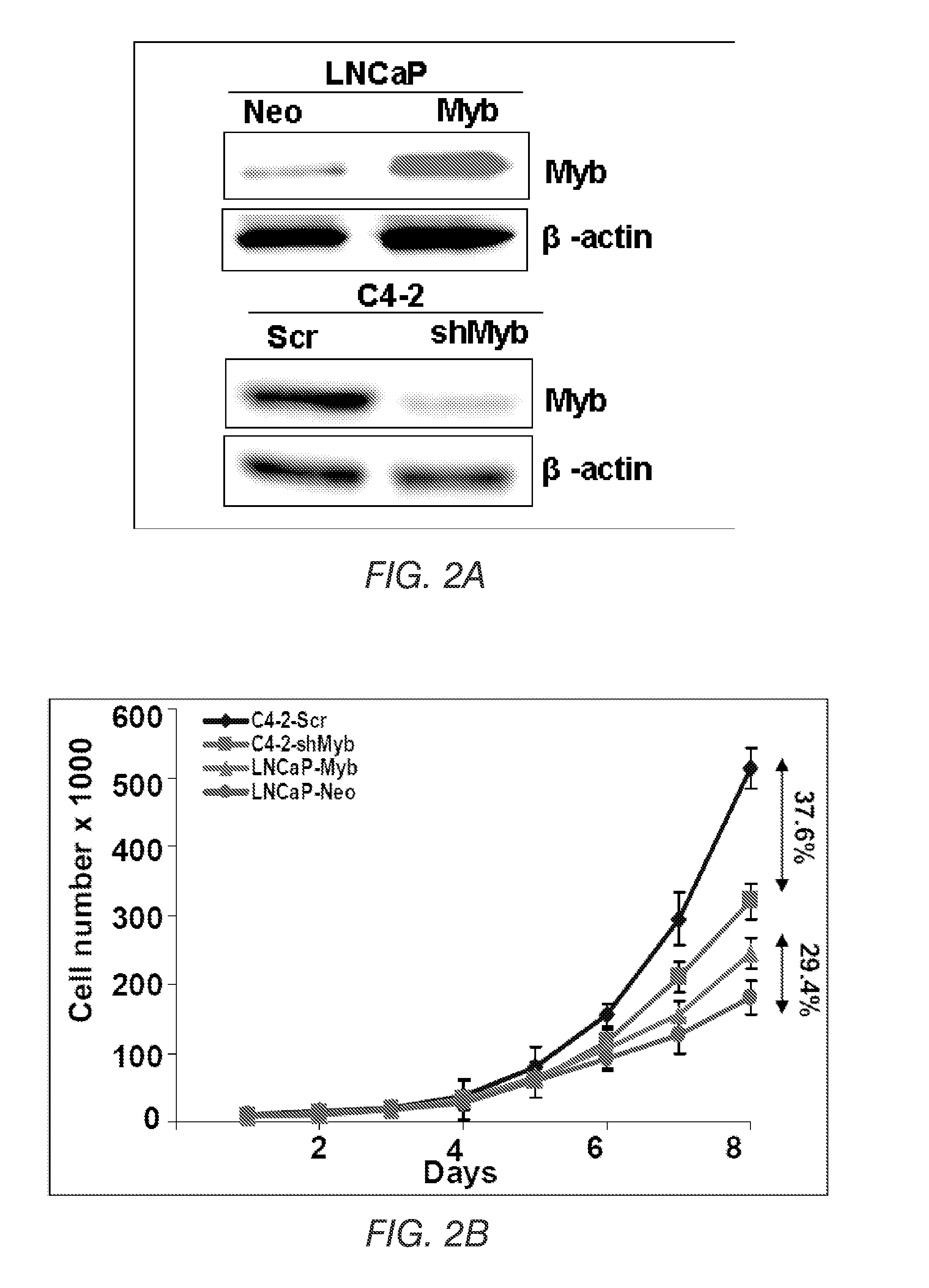 Methods and compositions for the diagnosis, classification, and treatment of cancer