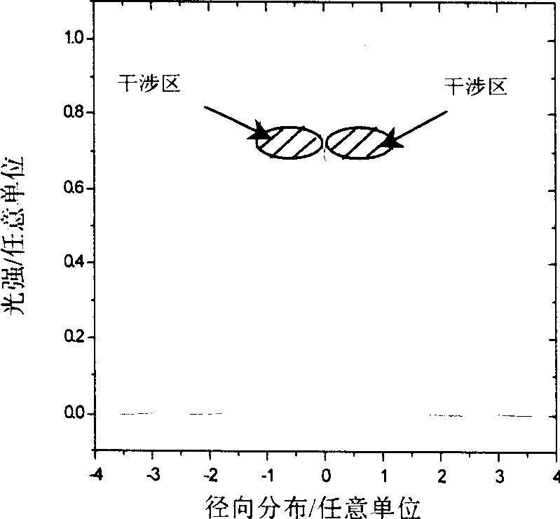 Method for writing double holographic grating at one time by single pulsed laser