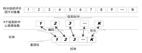 Method for grading land resource evaluation factors based on clonal selection algorithm