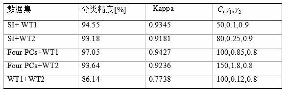 Multi-kernel support vector machine classification method for remote sensing images