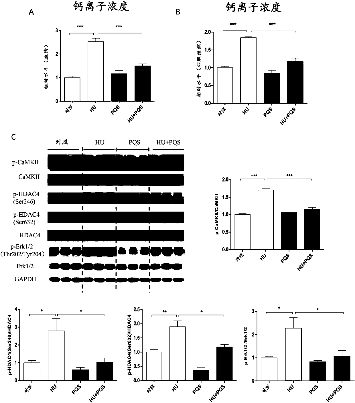 Novel medicinal application of panax quinquefolius saponin