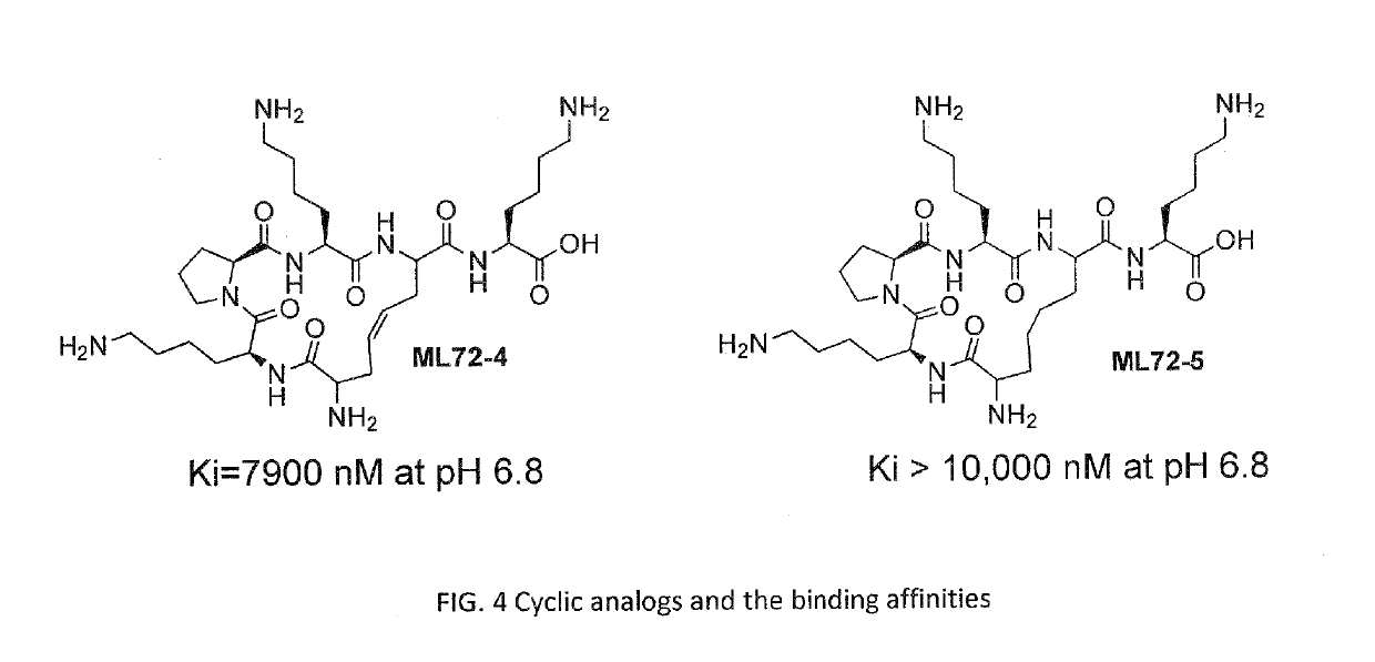 Dynorphin A analogs with bradykinin receptors specificity for modulation of neuropathic pain