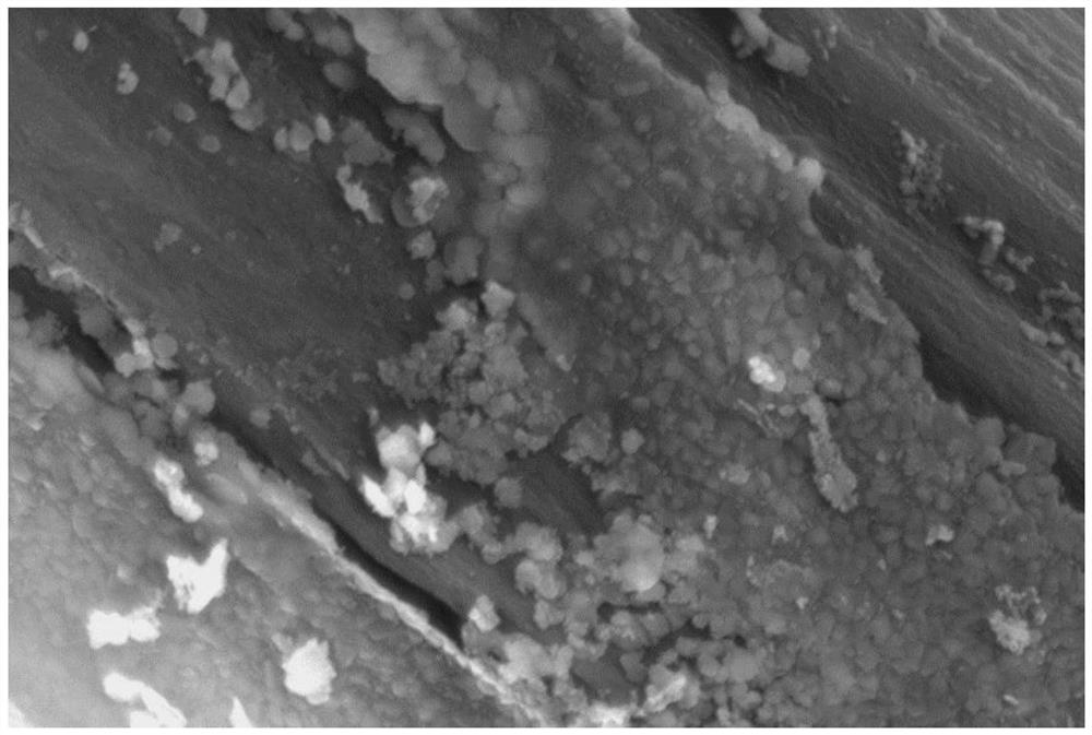 Nanometer iron oxide modified carbon-based electrode and macroscopic-size large-scale preparation method and application thereof