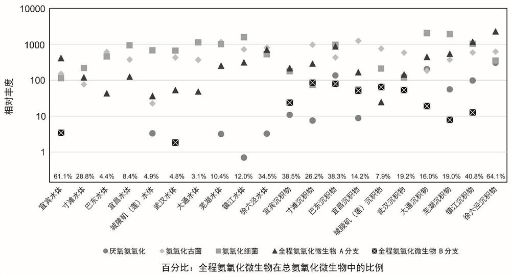 Method for acquiring relative abundance and activity of whole-course ammoxidation microorganisms from complex environment system based on macro omics technology