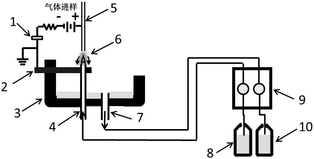 Microplasma apparatus suitable for metallic element analysis in gas