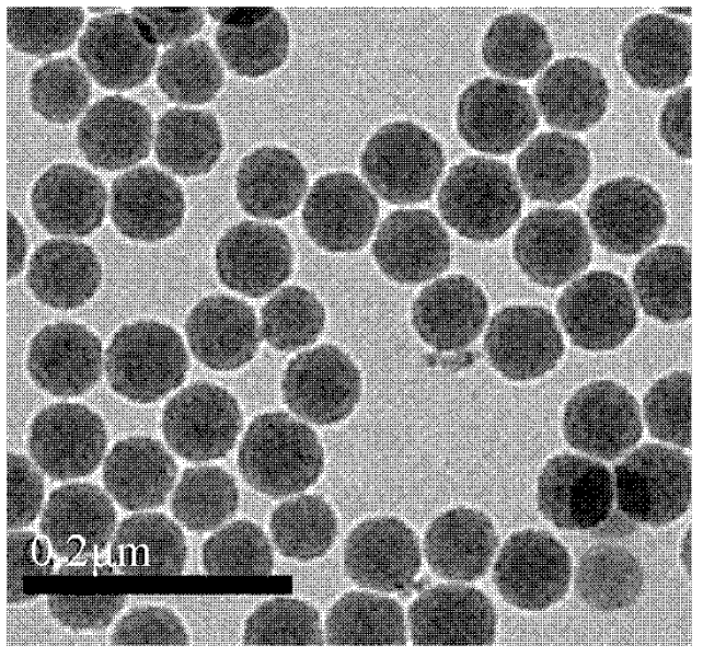 Preparation method of rare-earth fluorescent silica nano particle