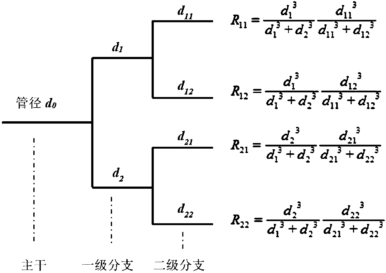 Method for individualized noninvasive calculation of blood flow of coronary arterybranches of patient in maximal congestion state