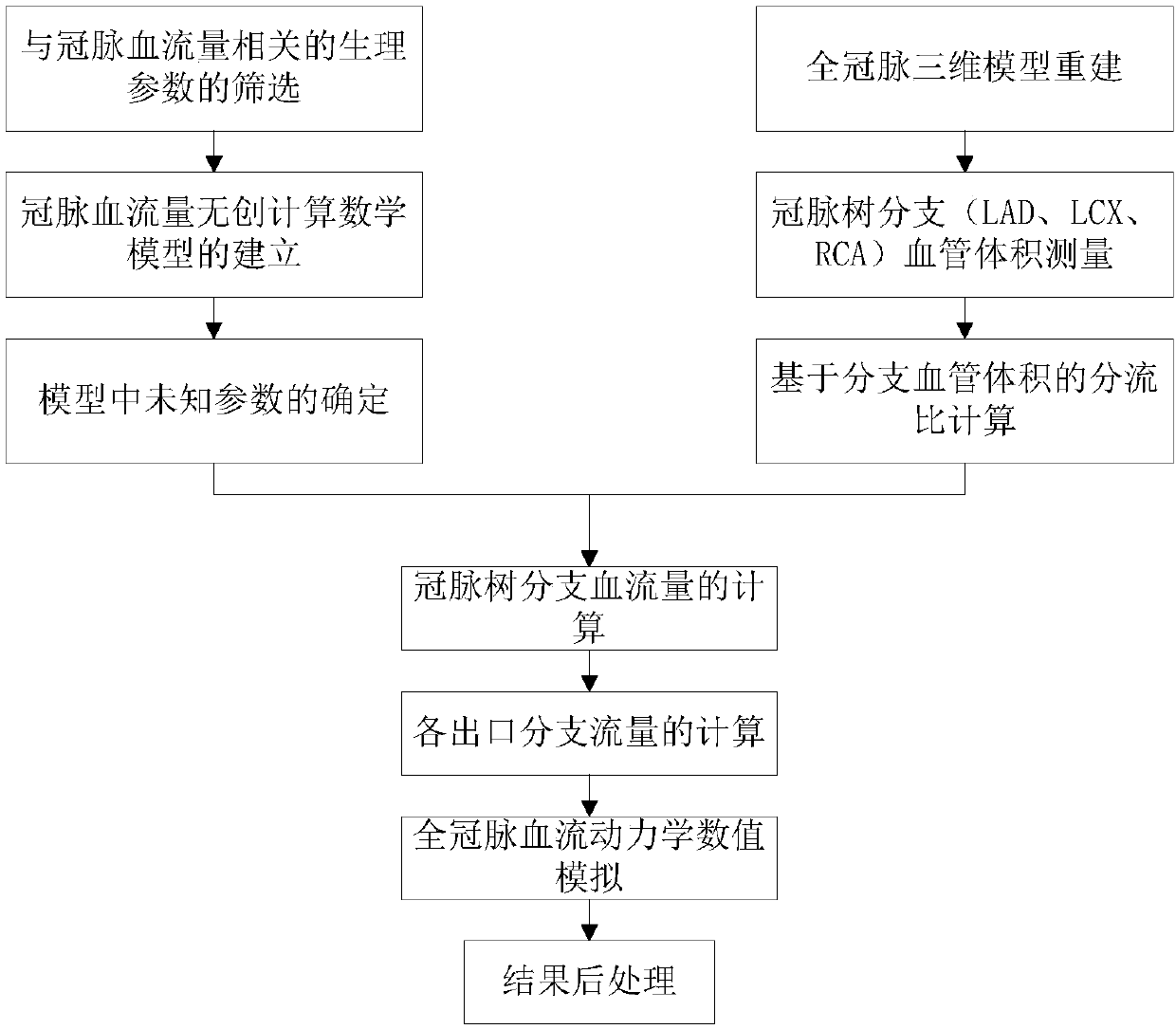 Method for individualized noninvasive calculation of blood flow of coronary arterybranches of patient in maximal congestion state