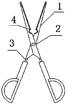 Thorn removing shears for flowers