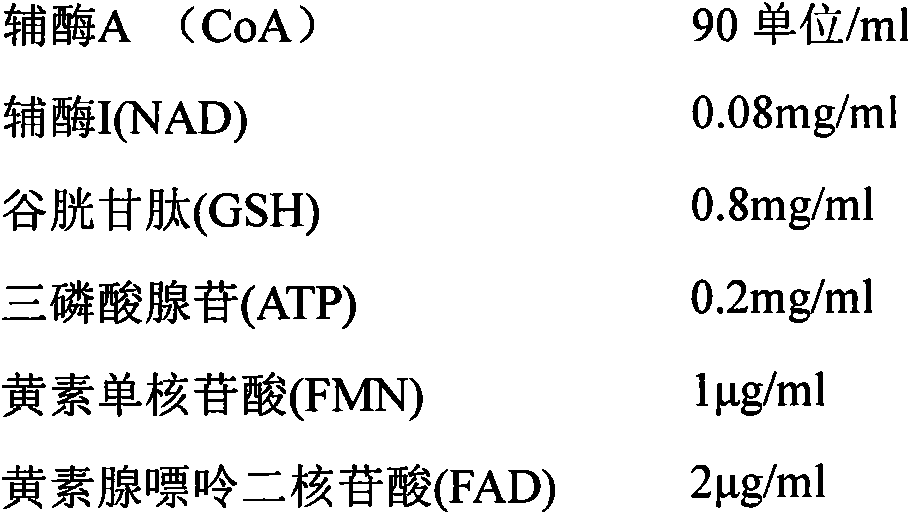 Stable compound coenzyme preparation as well as preparation method and applications thereof