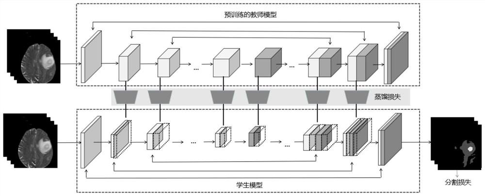 Medical image segmentation model compression method