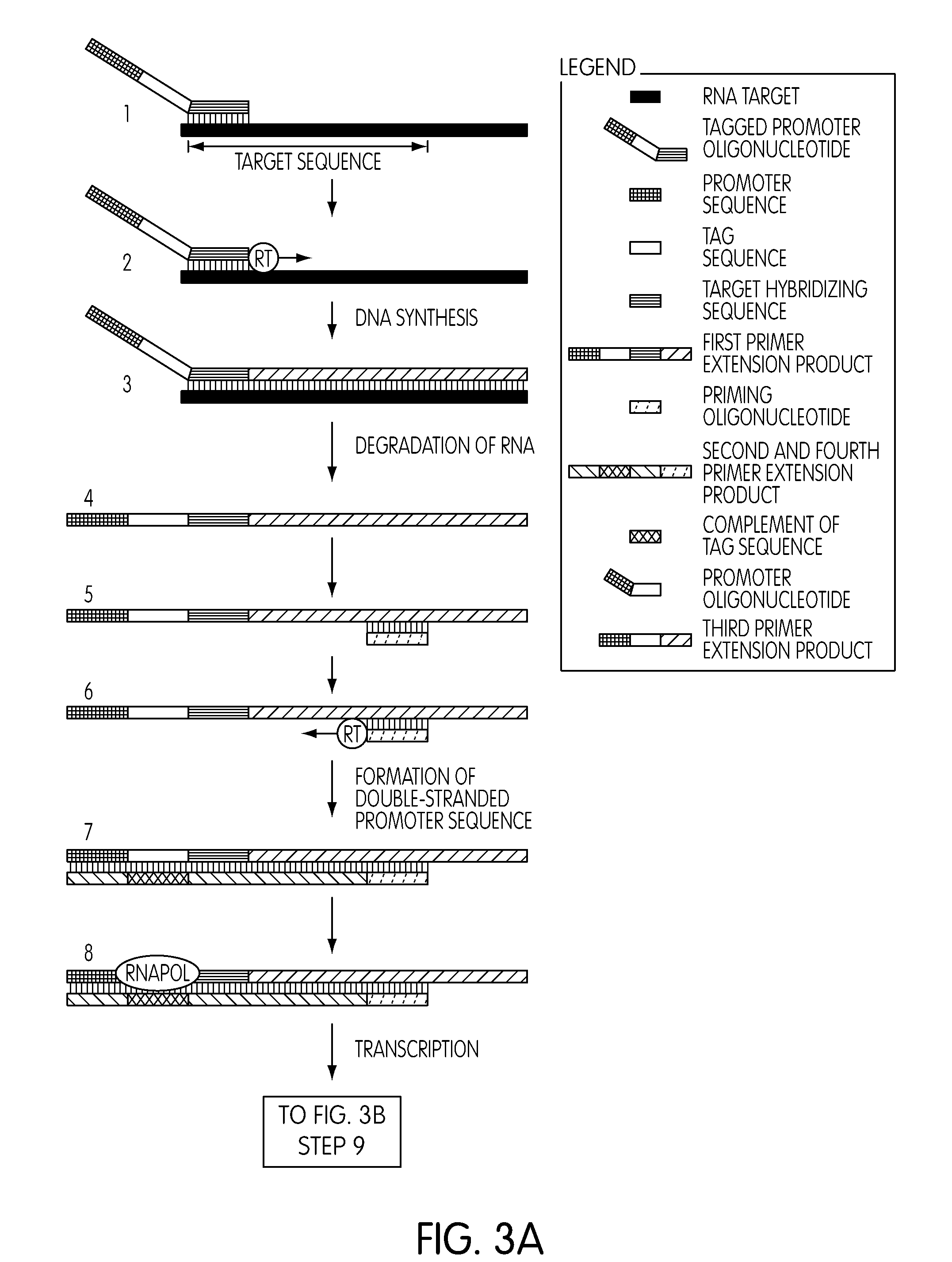 Methods and kits for use in the selective amplification of target sequences