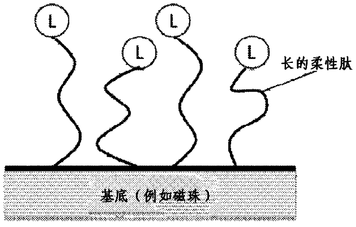 Engineered opsonins for pathogen detection and treatment