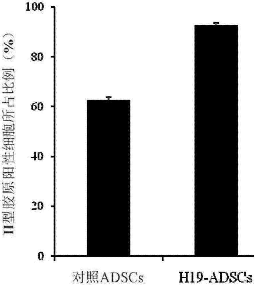 lncRNAs screening method, adscs, chondrocyte differentiation method