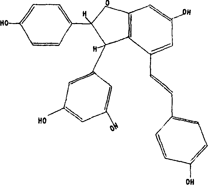 Vitis botanical extractive, its preparation method and its novel usage as an antibacterials synergist