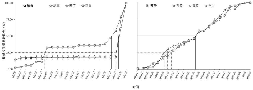 Repellent plant management method for preventing and controlling green peach aphids in greenhouse