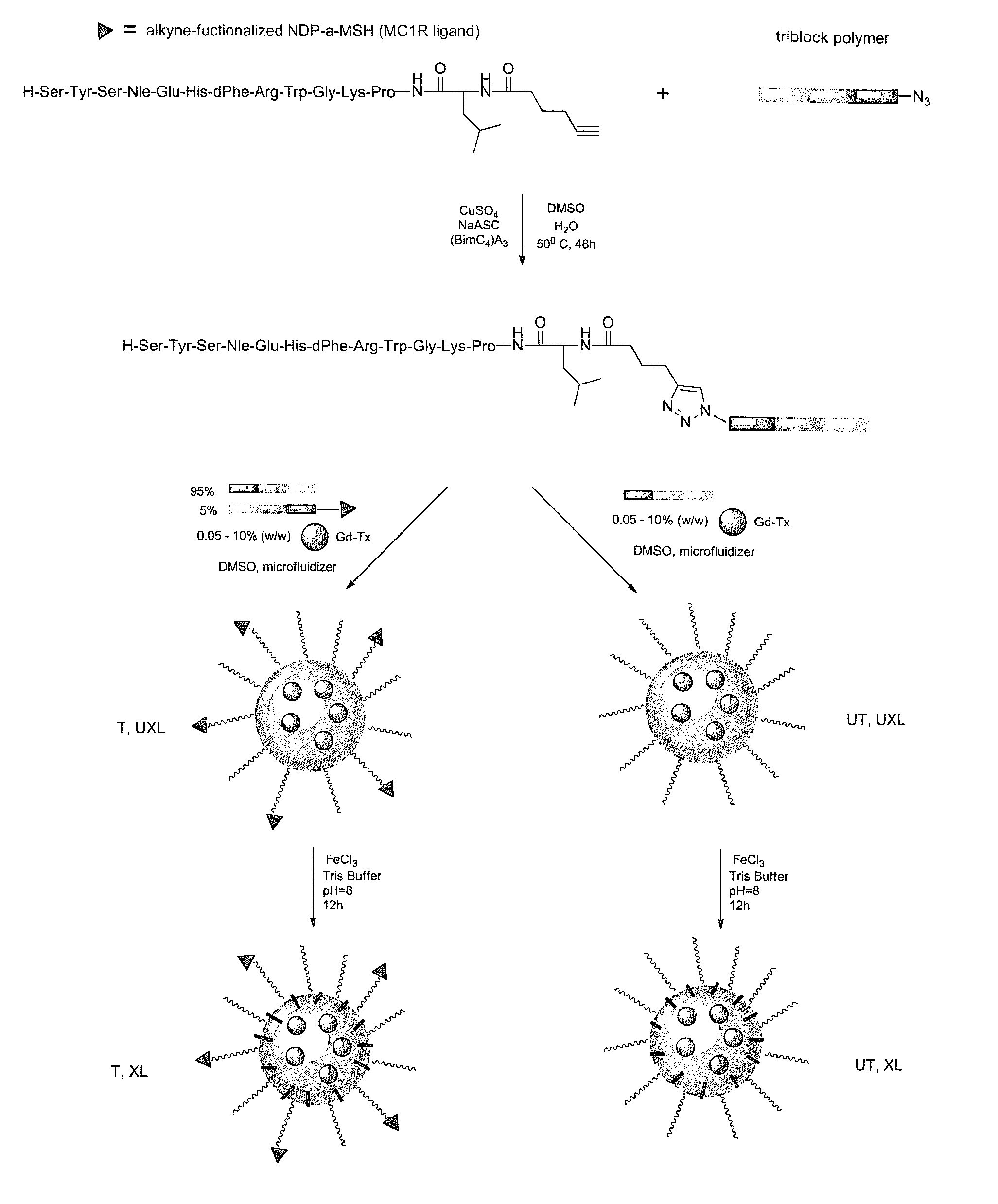 Melanocortin 1 receptor ligands and methods of use