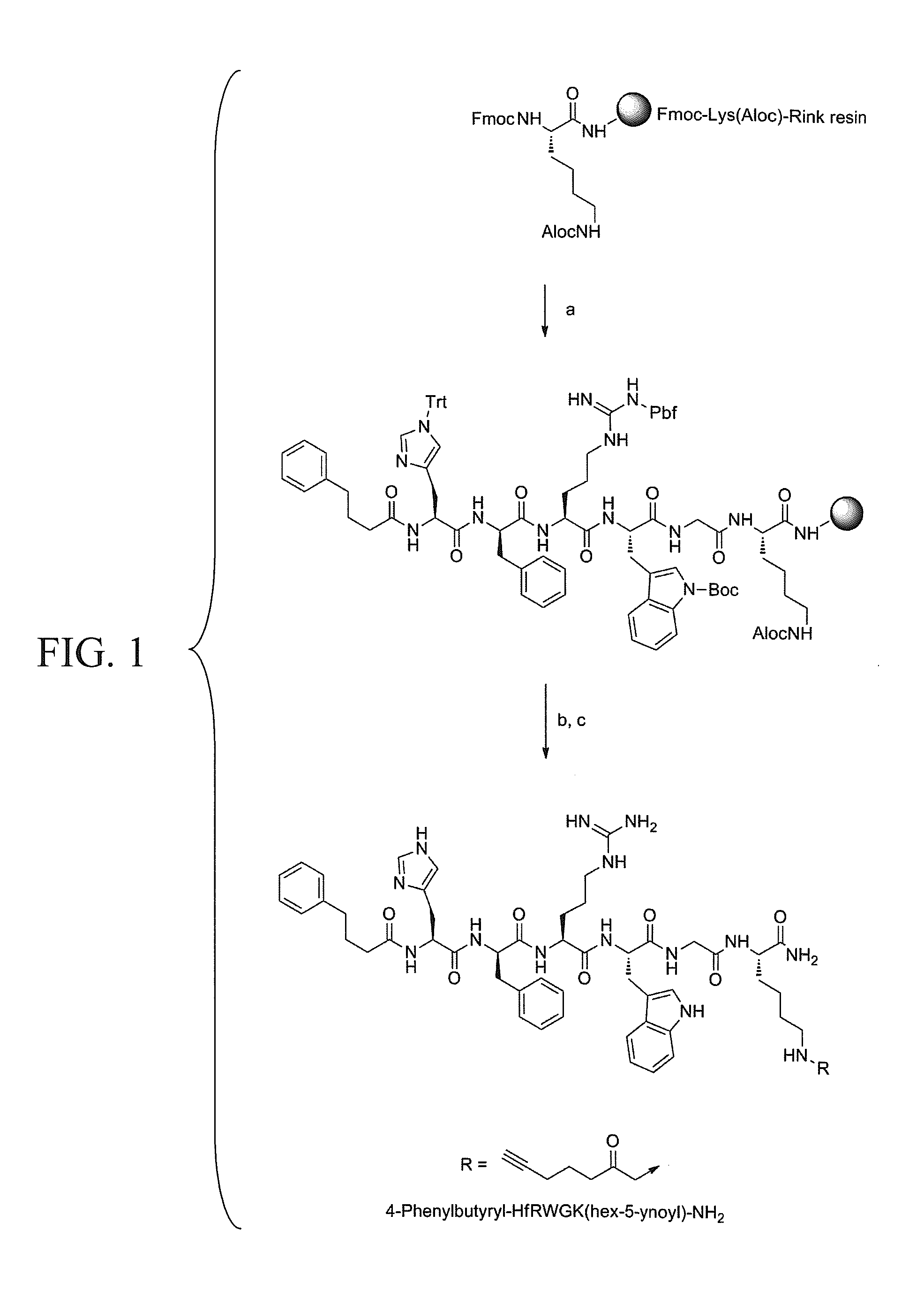 Melanocortin 1 receptor ligands and methods of use