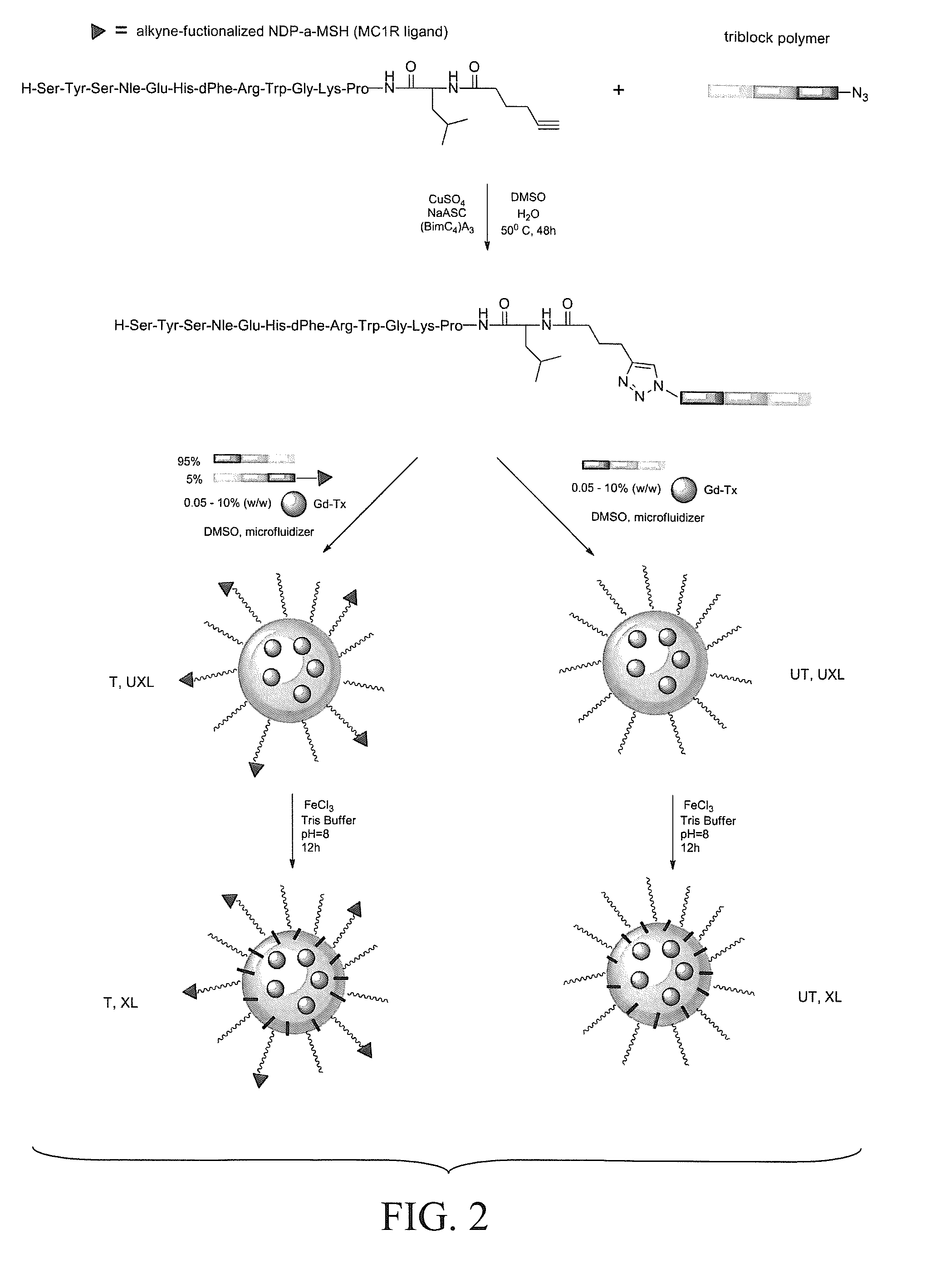 Melanocortin 1 receptor ligands and methods of use