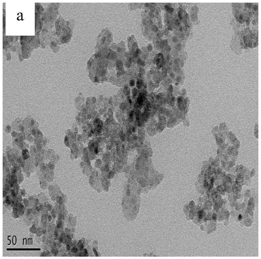 Visible-light responded compound catalyst for degrading organic pollutants in salt-containing wastewater and preparation method of visible-light responded compound catalyst