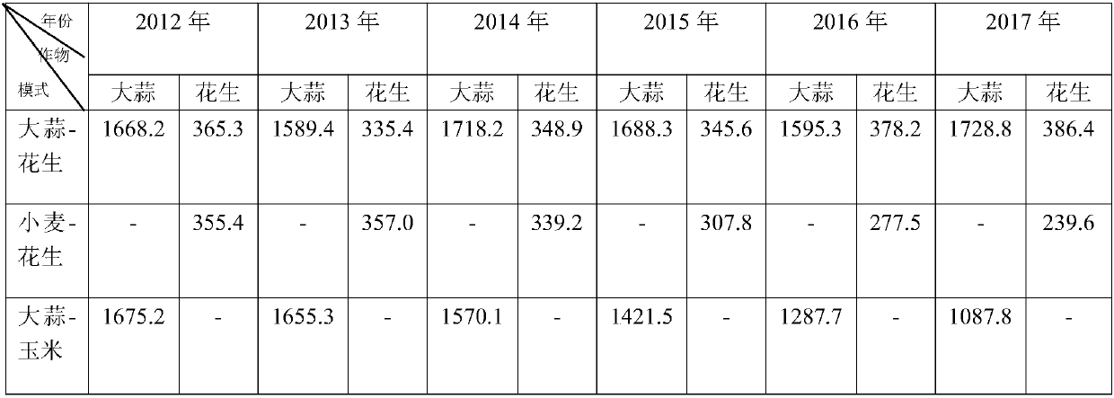 Planting method for stable rotation production of peanut and garlic