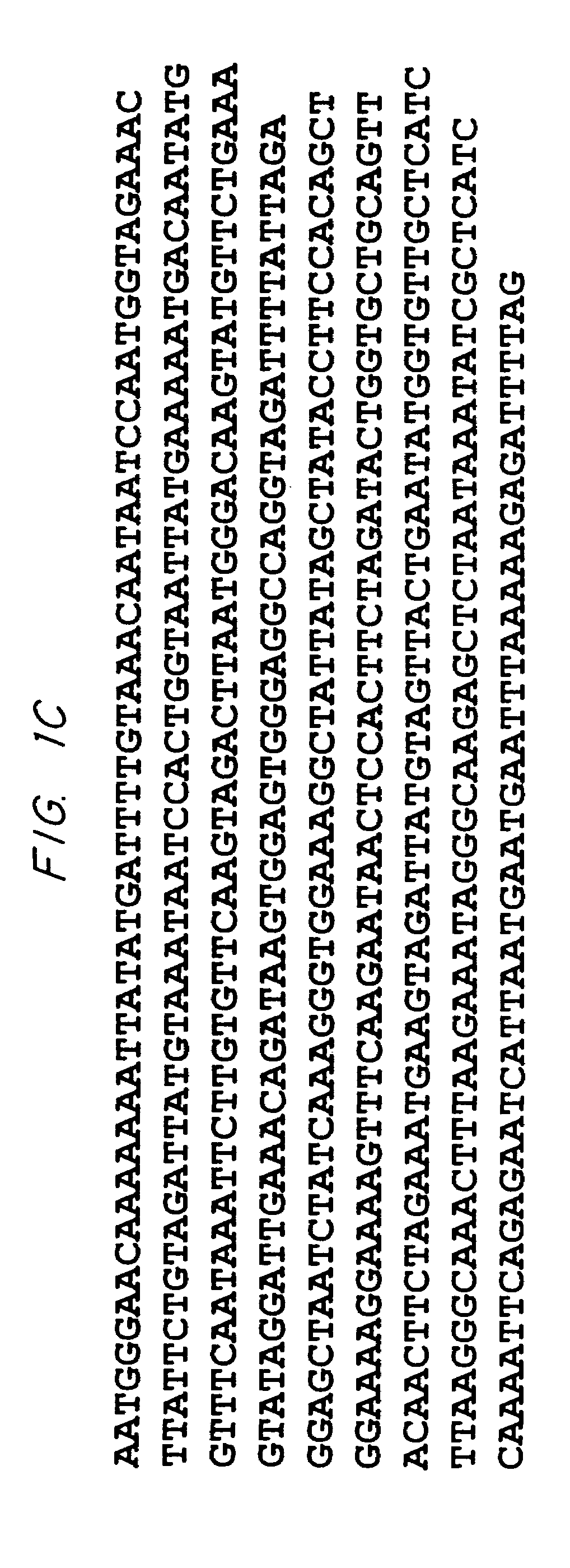 Biological systems for manufacture of polyhydroxyalkanoate polymers containing 4-hydroxyacids