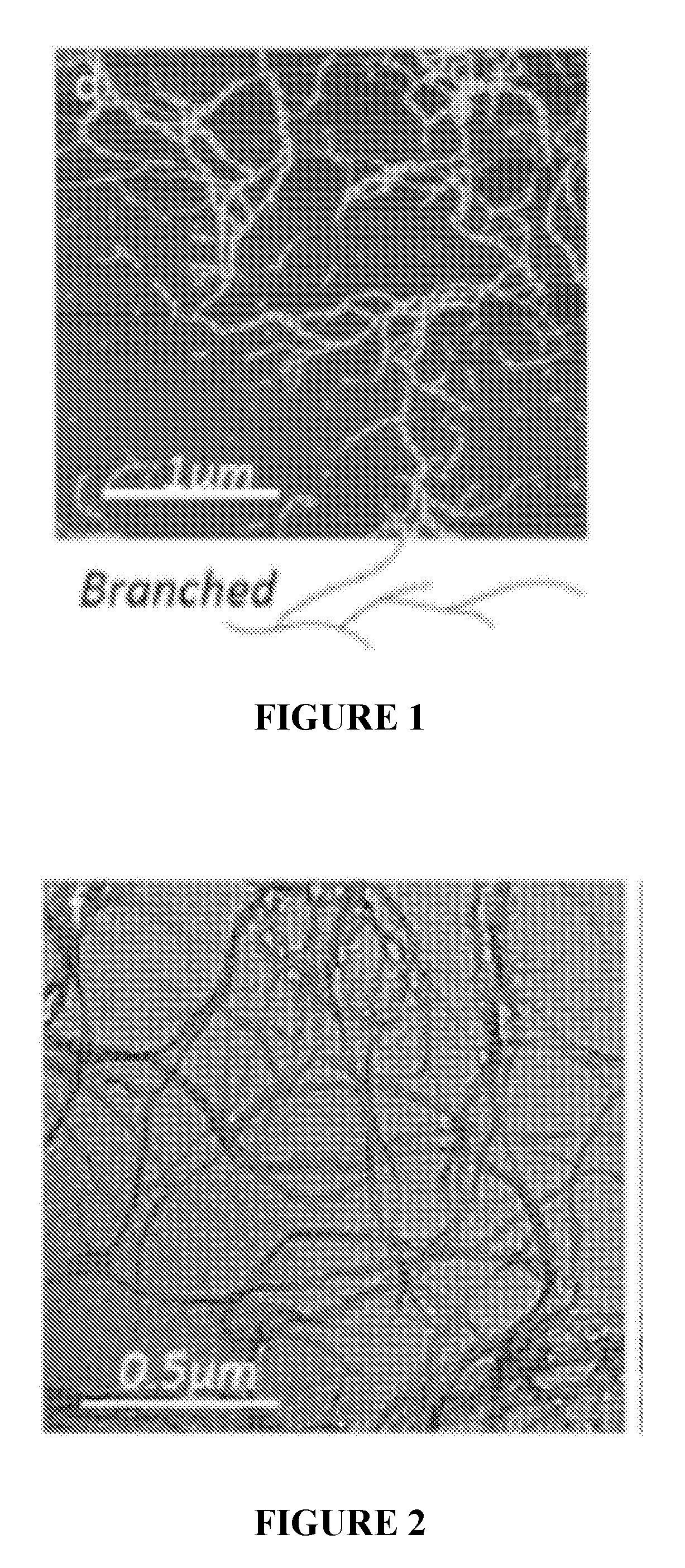 Gels and nanocomposites containing anfs