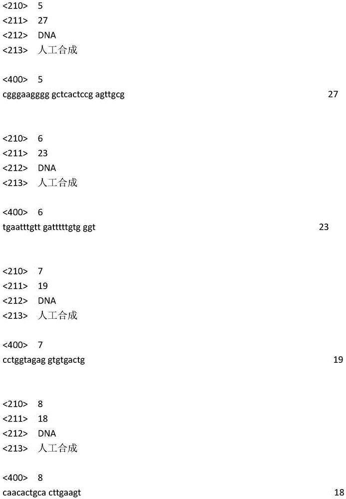 Kit for detecting methylation level of lung cancer associated SHOX2 gene promoter region