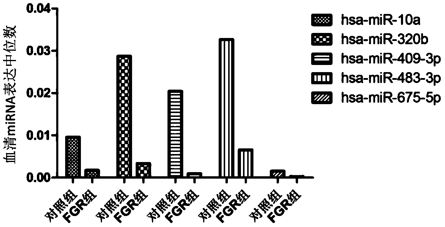 Tiny serum ribonucleic acid marker related to human fetal growth restriction and application thereof