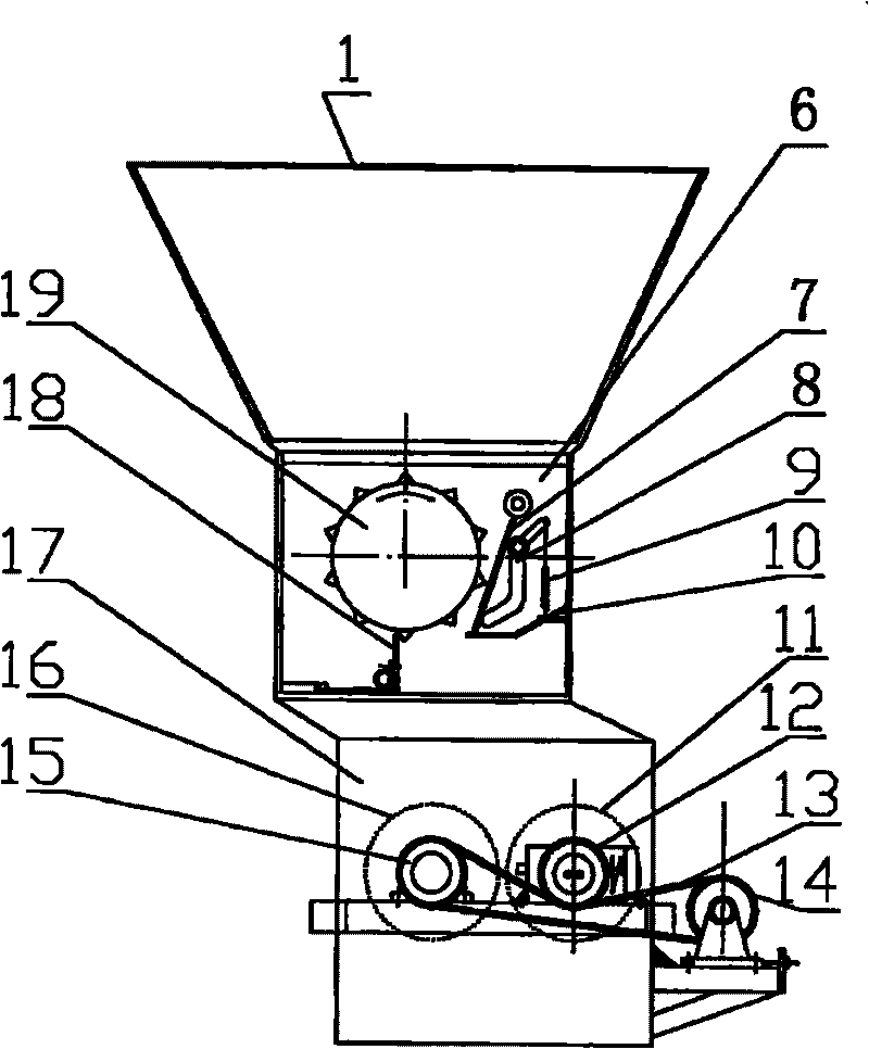 Sludge crushing feeder