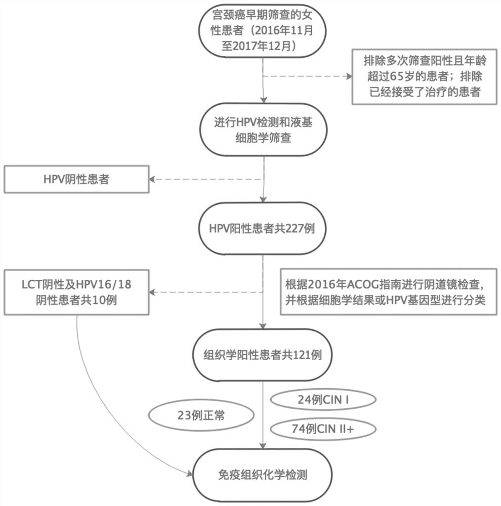 CRISPR/Lbcpf1 gene editing system and application thereof