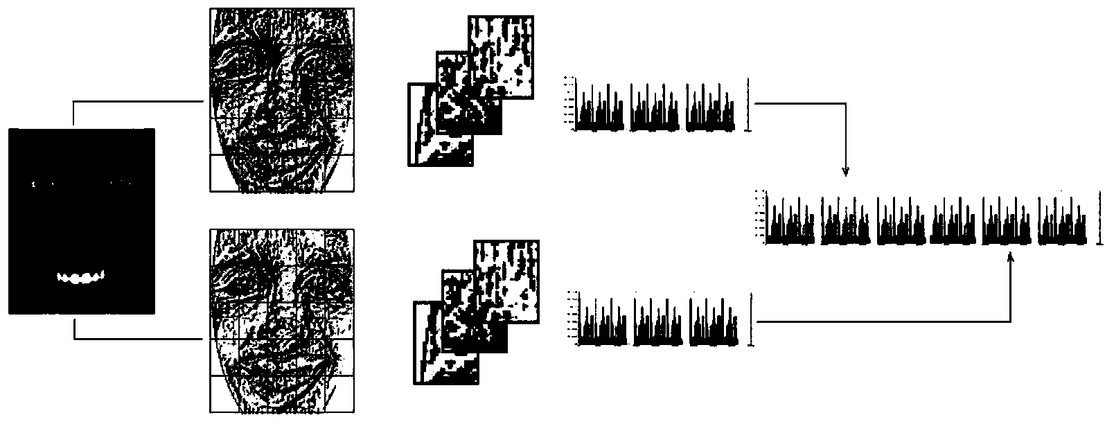 Large-scale facial expression recognition method based on multiscale LBP and sparse coding