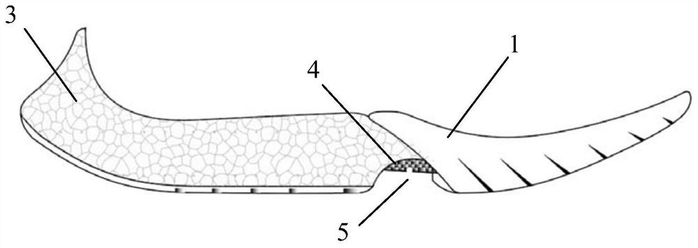 Sole with foot fascia bionic function and shoe