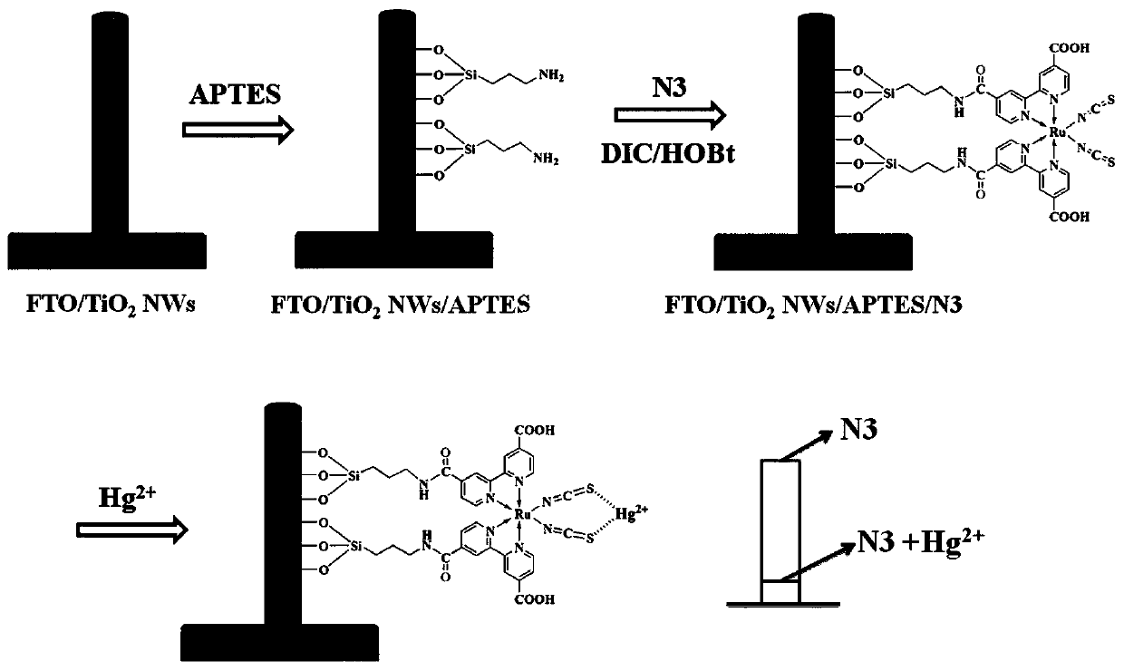 Mercury ion photoelectrochemical sensor working electrode and its preparation method and application