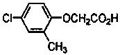 Weeding composition and application thereof