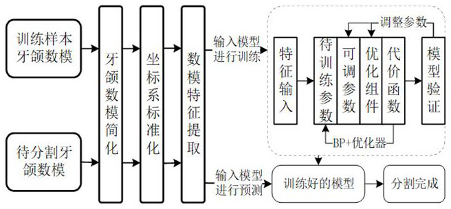 Automatic dental digital model segmentation algorithm