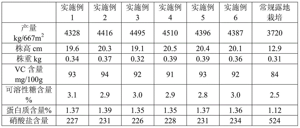 Mulching-film soilless cultivation method of wuta-tsai