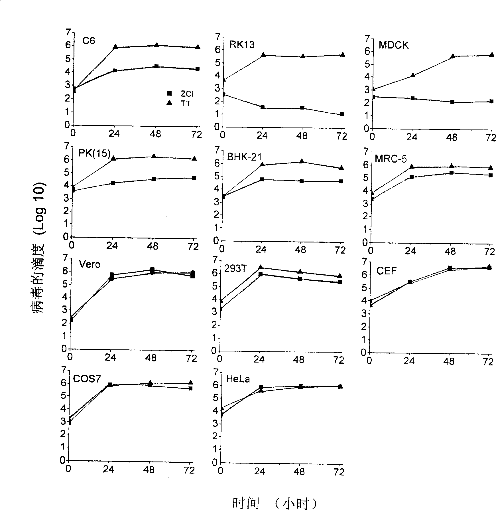 Attenuated vaccinia virus Tiantan strain vector and its preparation and application