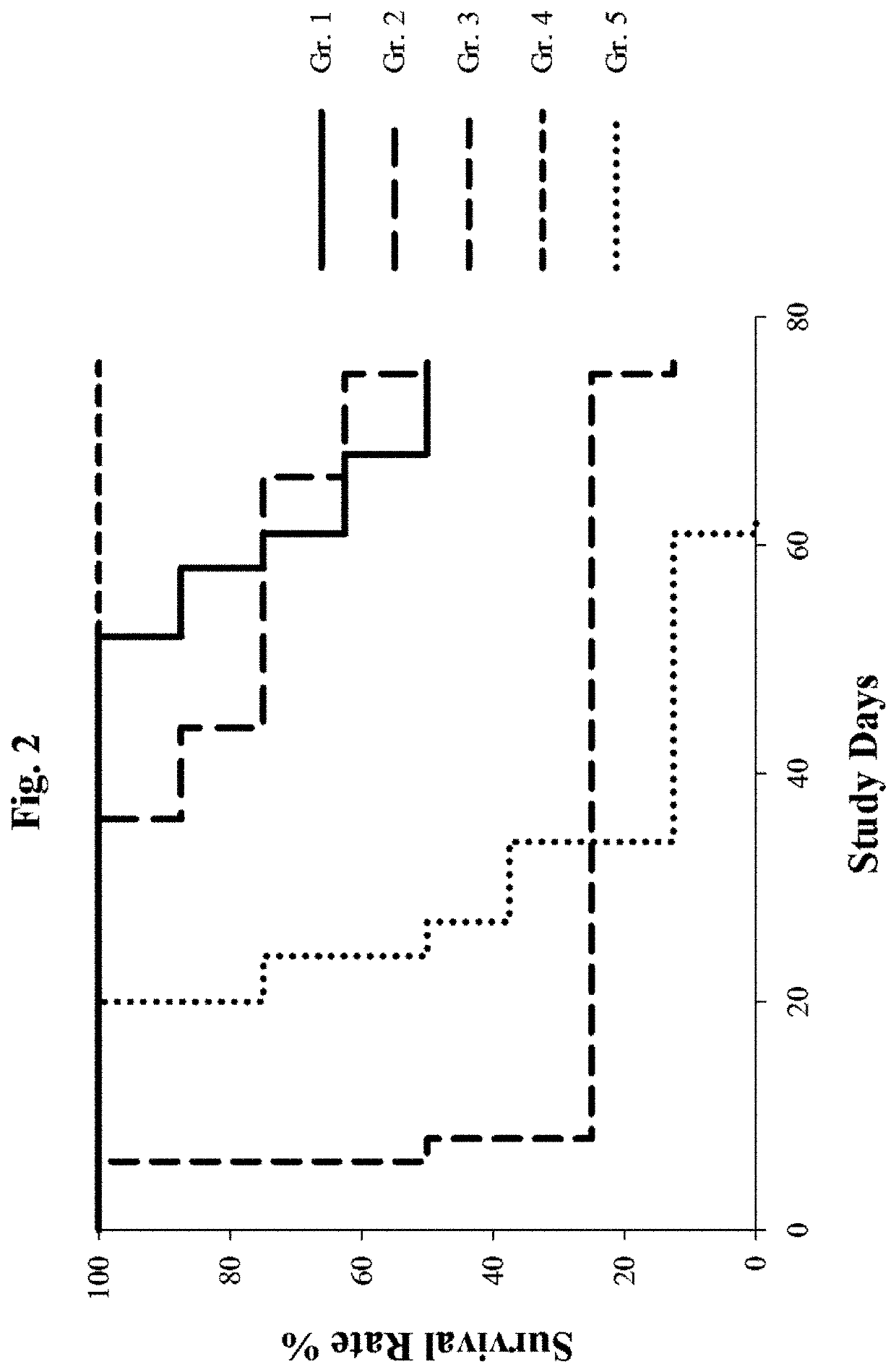 Metronomic oral gemcitabine for cancer therapy