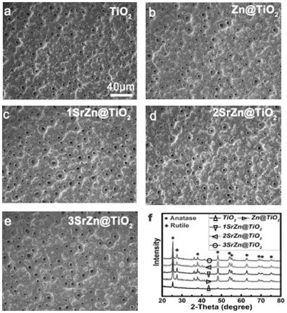 Implant material and preparation method and application thereof