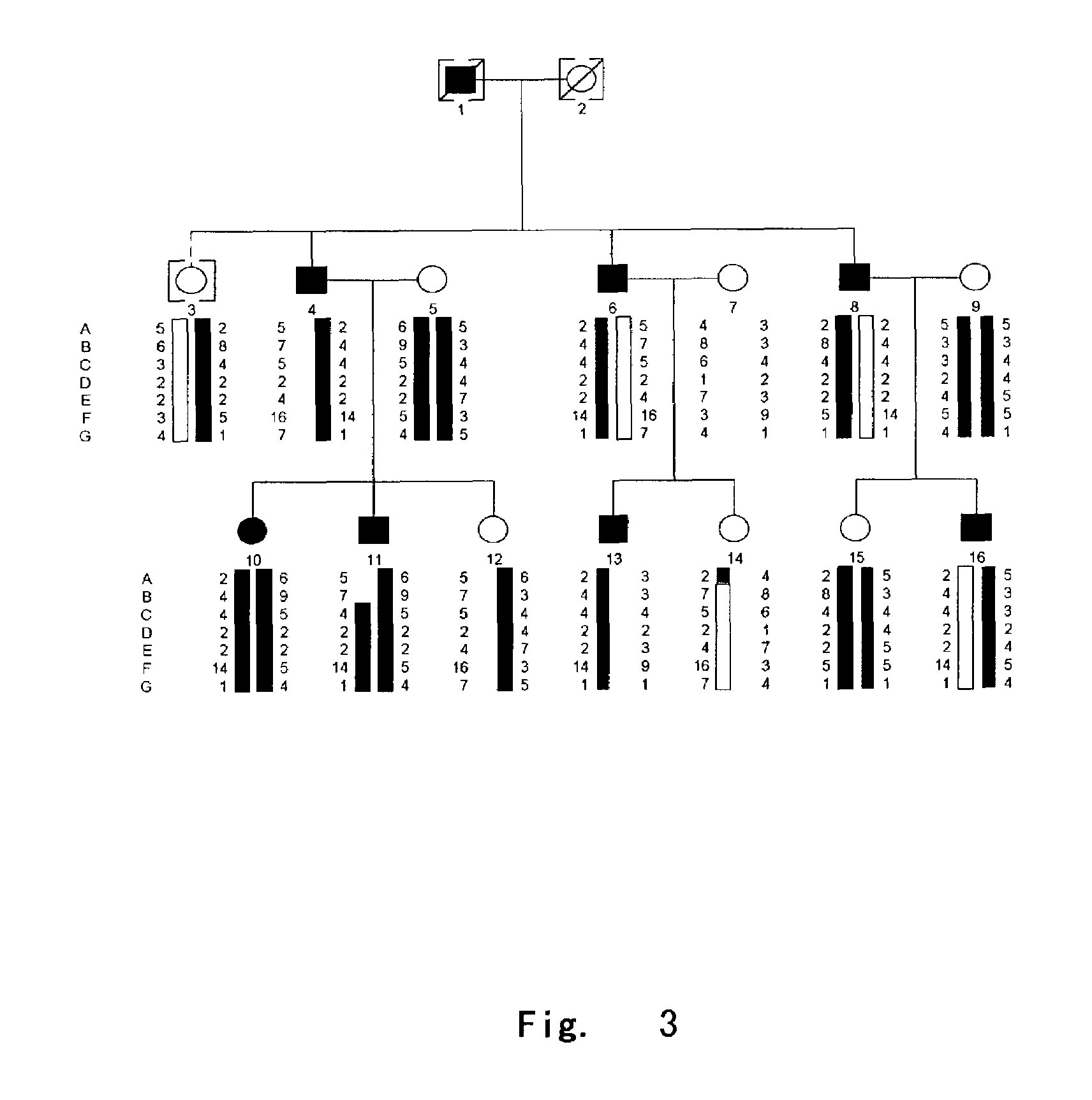 Method of diagnosing and treating dentinogenesis imperfecta type II by using dentin sialophosphoprotein gene and coded product thereof