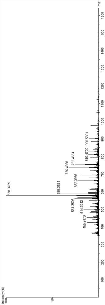 Bioactive peptide SGSAAWDDSAGGAGGQGLRVTAL as well as preparation method and application of bioactive peptide SGSAAWDDSAGGAGGQGLRVTAL