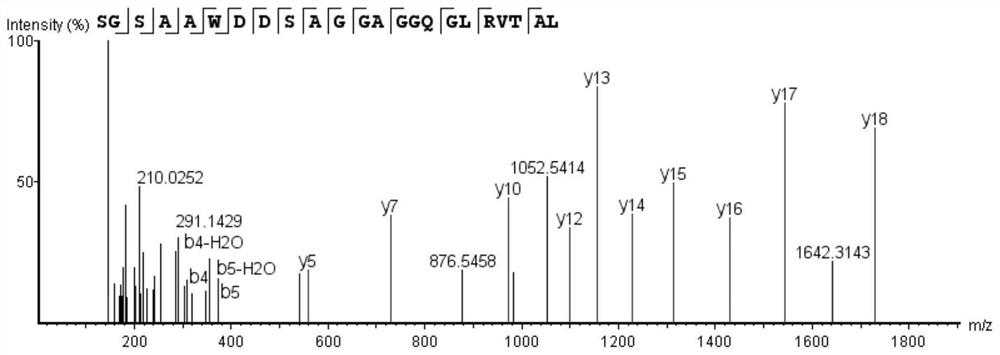 Bioactive peptide SGSAAWDDSAGGAGGQGLRVTAL as well as preparation method and application of bioactive peptide SGSAAWDDSAGGAGGQGLRVTAL